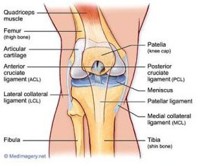 Knee Injuries