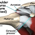 Rotator Cuff Injuries